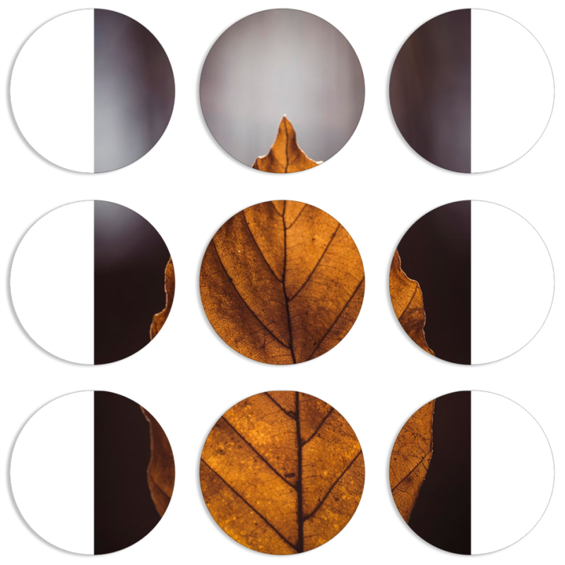 Магнитные фотопазлы круги d55 набор 9 штук 