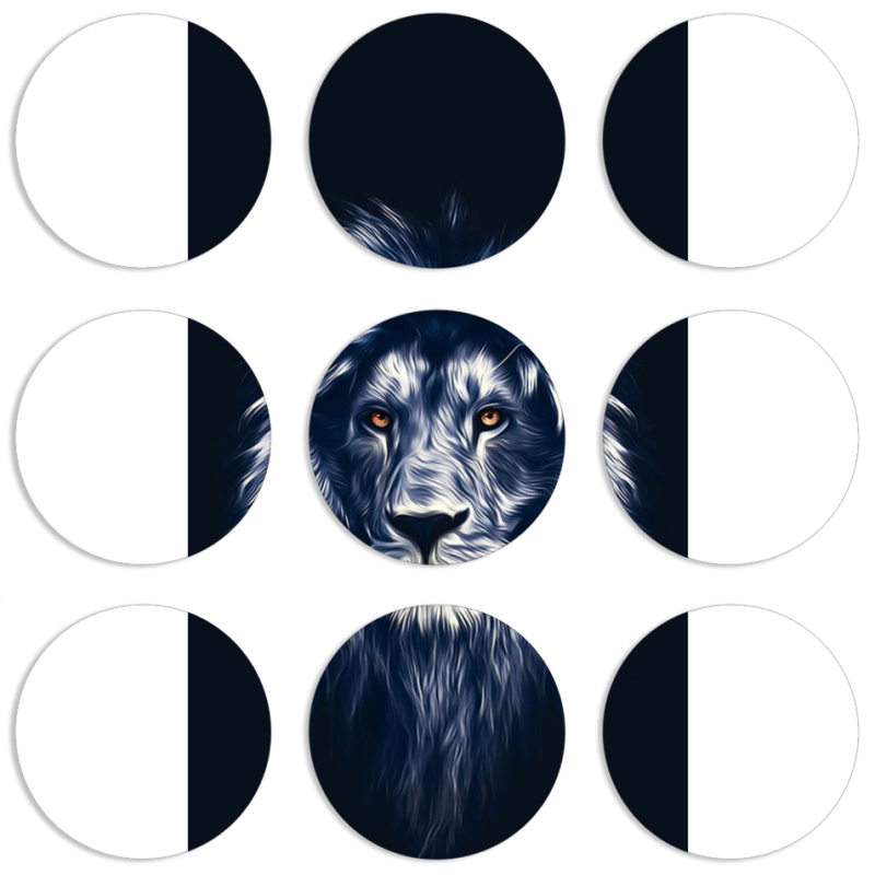 Магнитные фотопазлы круги d55 набор 9 штук 