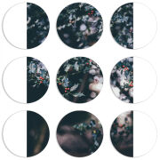 Магнитные фотопазлы круги d55 набор 9 штук 