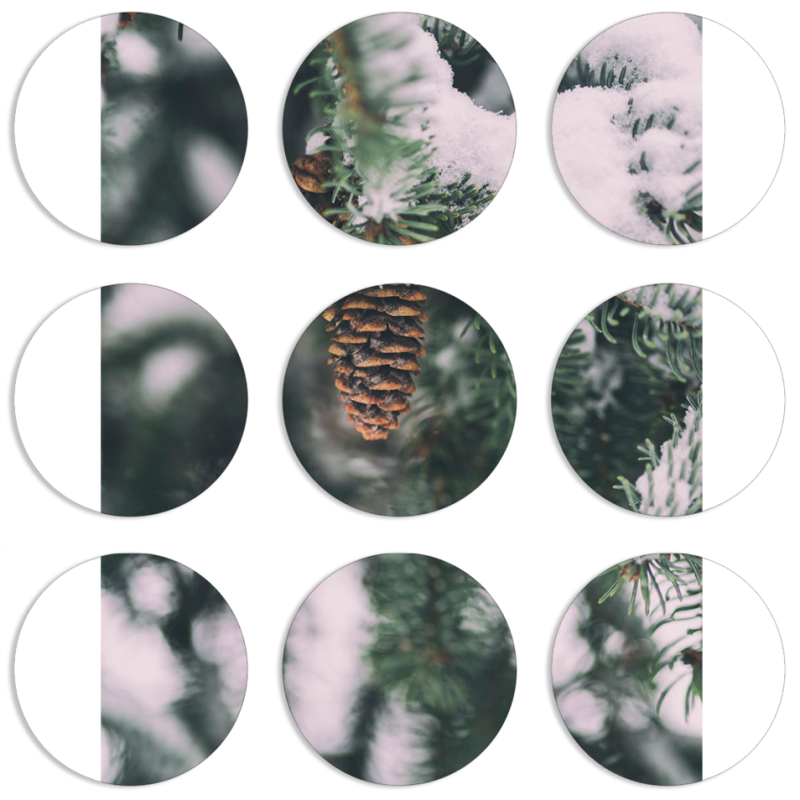 Магнитные фотопазлы круги d55 набор 9 штук 