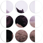 Магнитные фотопазлы круги d55 набор 9 штук 