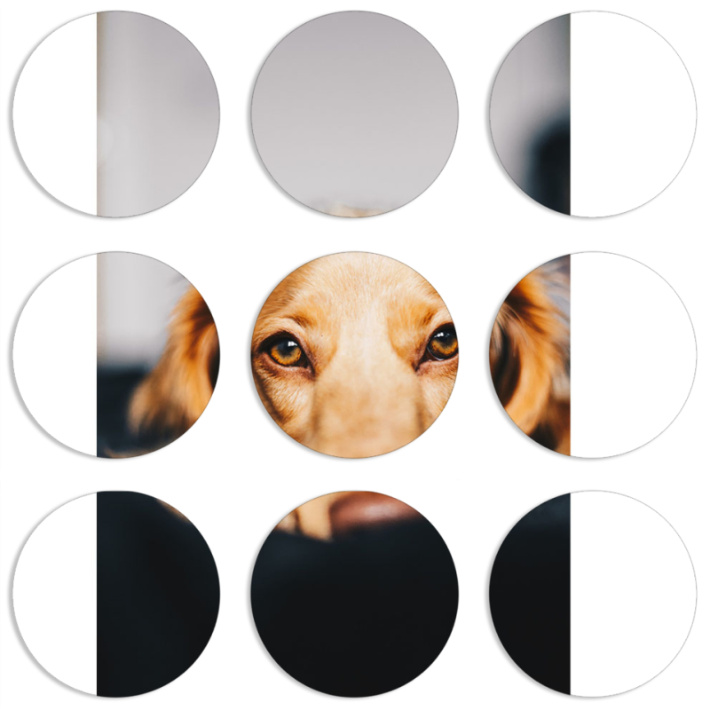 Магнитные фотопазлы круги d55 набор 9 штук 