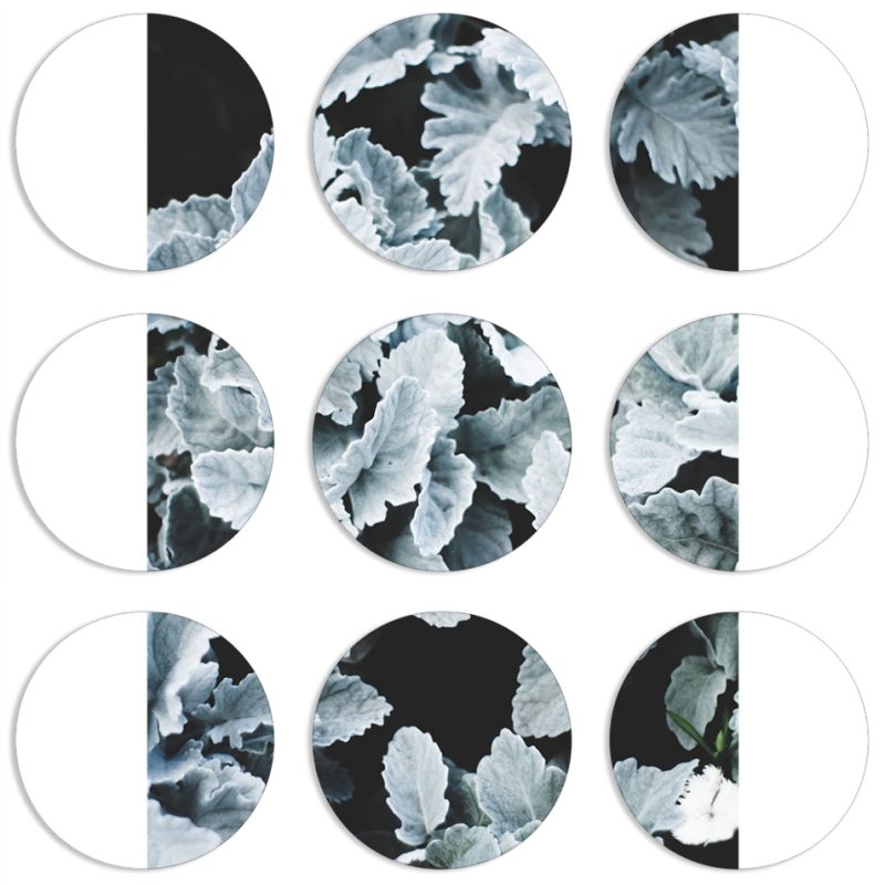 Магнитные фотопазлы круги d55 набор 9 штук 