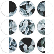 Магнитные фотопазлы круги d55 набор 9 штук 