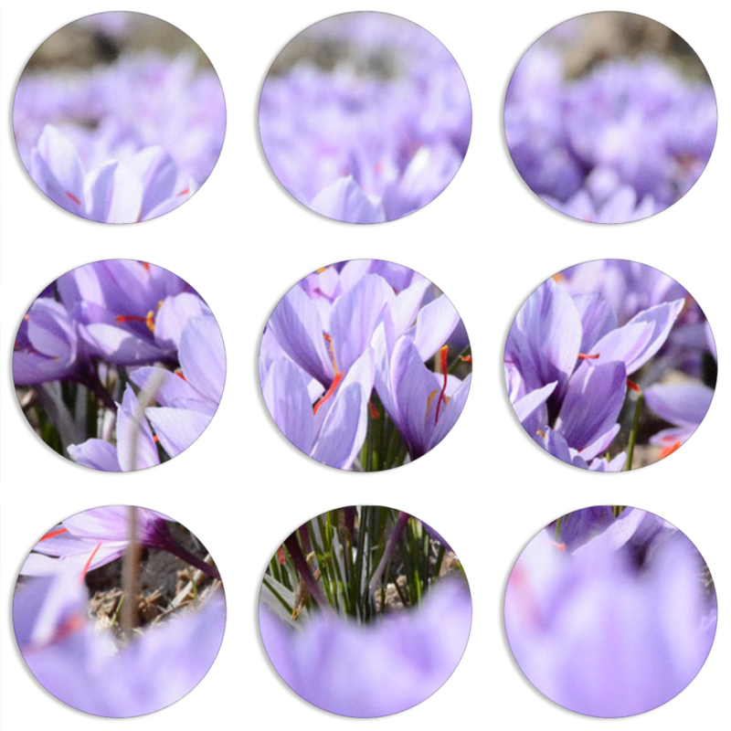 Магнитные фотопазлы круги d55 набор 9 штук 