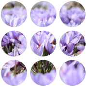 Магнитные фотопазлы круги d55 набор 9 штук 