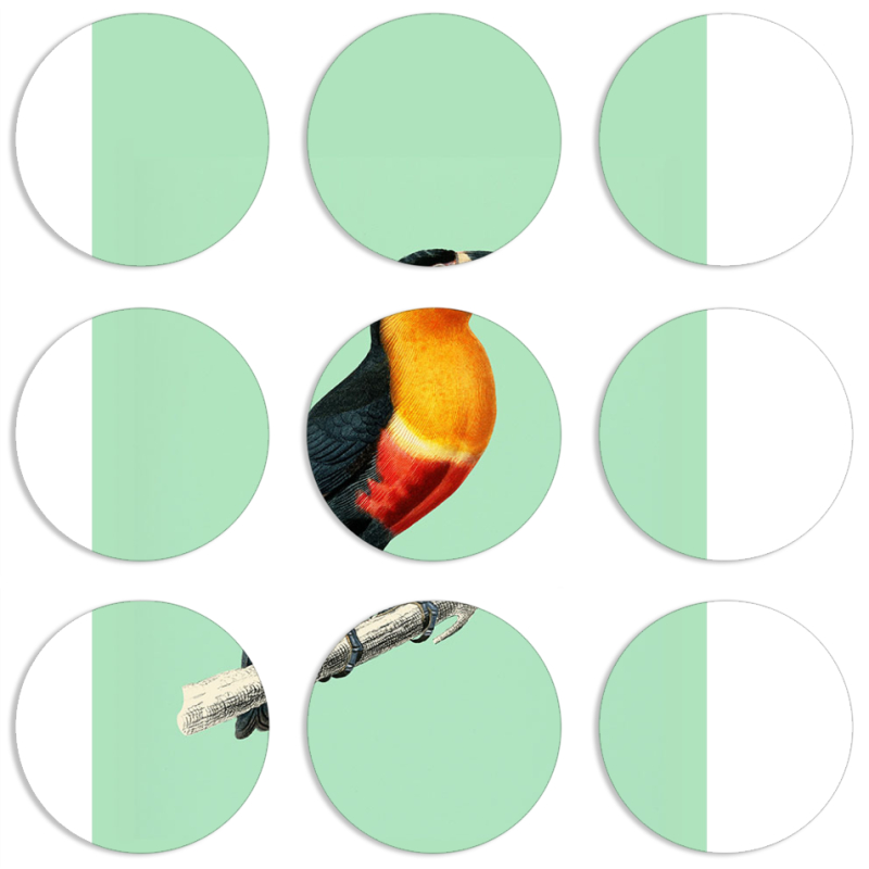 Магнитные фотопазлы круги d55 набор 9 штук 