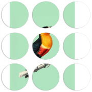 Магнитные фотопазлы круги d55 набор 9 штук 