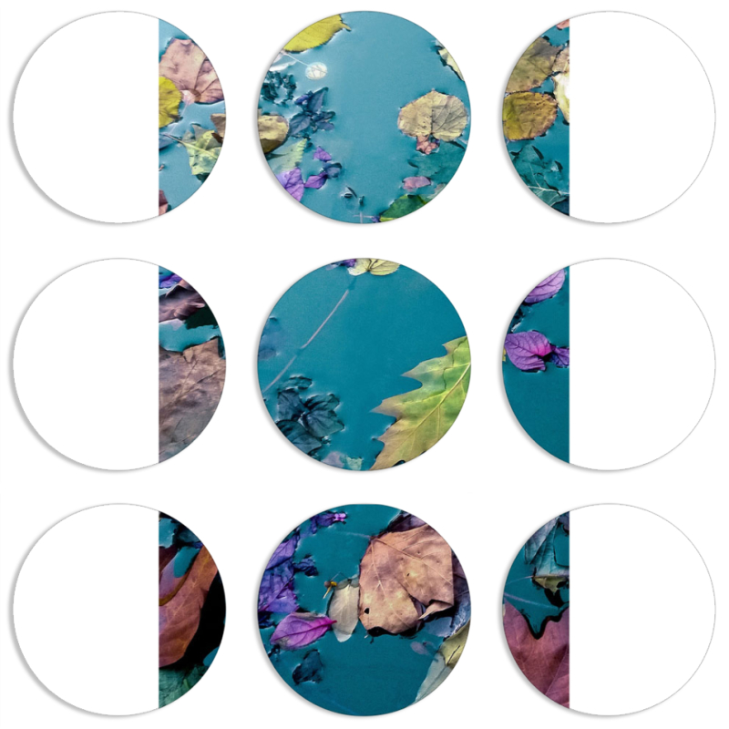 Магнитные фотопазлы круги d55 набор 9 штук 