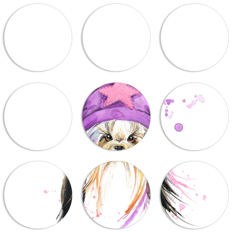 Магнитные фотопазлы круги d55 набор 9 штук 