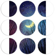 Магнитные фотопазлы круги d55 набор 9 штук 