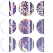 Магнитные фотопазлы круги d55 набор 9 штук 