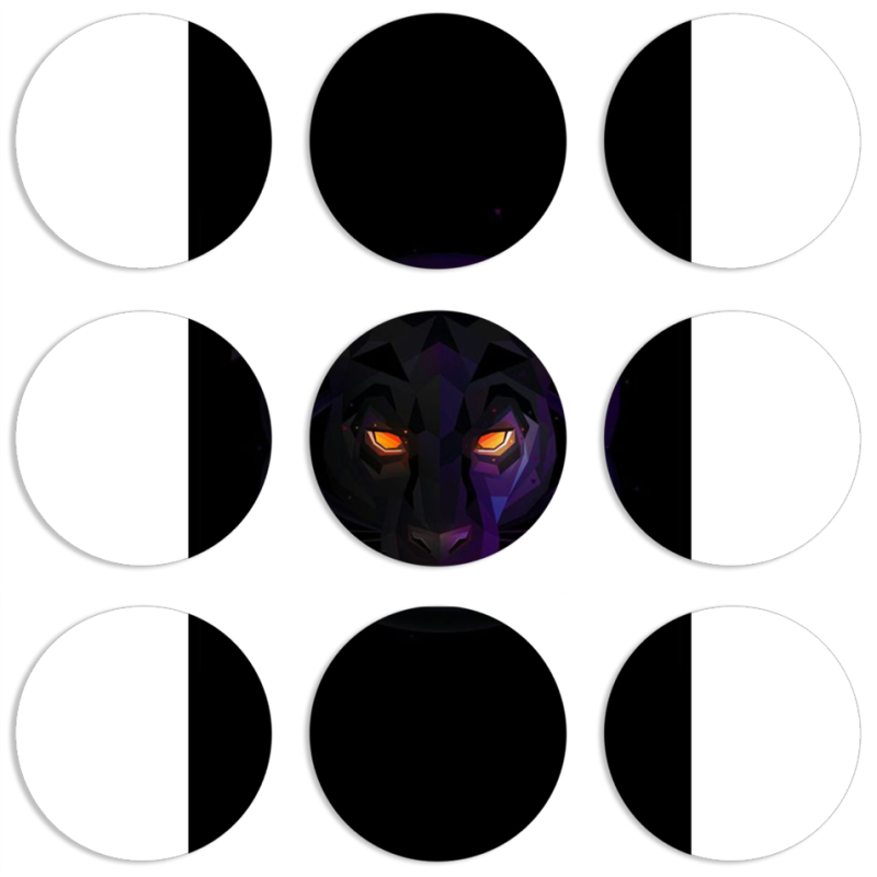 Магнитные фотопазлы круги d55 набор 9 штук 