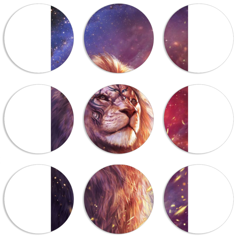 Магнитные фотопазлы круги d55 набор 9 штук 