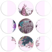 Магнитные фотопазлы круги d55 набор 9 штук 