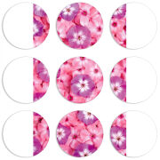 Магнитные фотопазлы круги d55 набор 9 штук 