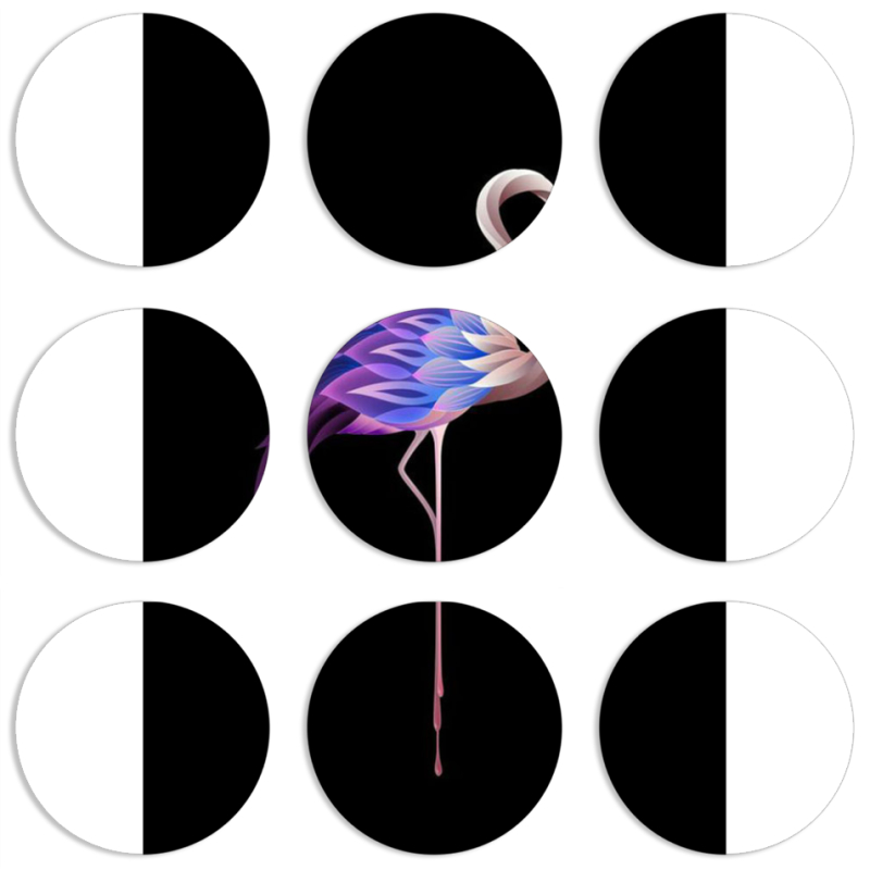 Магнитные фотопазлы круги d55 набор 9 штук 