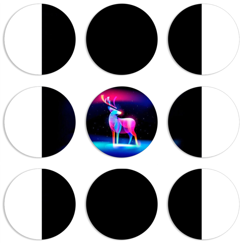 Магнитные фотопазлы круги d55 набор 9 штук 