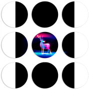 Магнитные фотопазлы круги d55 набор 9 штук 