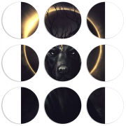 Магнитные фотопазлы круги d55 набор 9 штук 