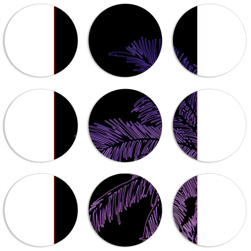 Магнитные фотопазлы круги d55 набор 9 штук 