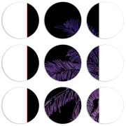 Магнитные фотопазлы круги d55 набор 9 штук 