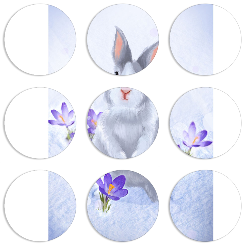 Магнитные фотопазлы круги d55 набор 9 штук 