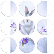 Магнитные фотопазлы круги d55 набор 9 штук 