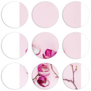 Магнитные фотопазлы круги d55 набор 9 штук 