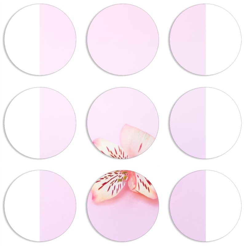 Магнитные фотопазлы круги d55 набор 9 штук 