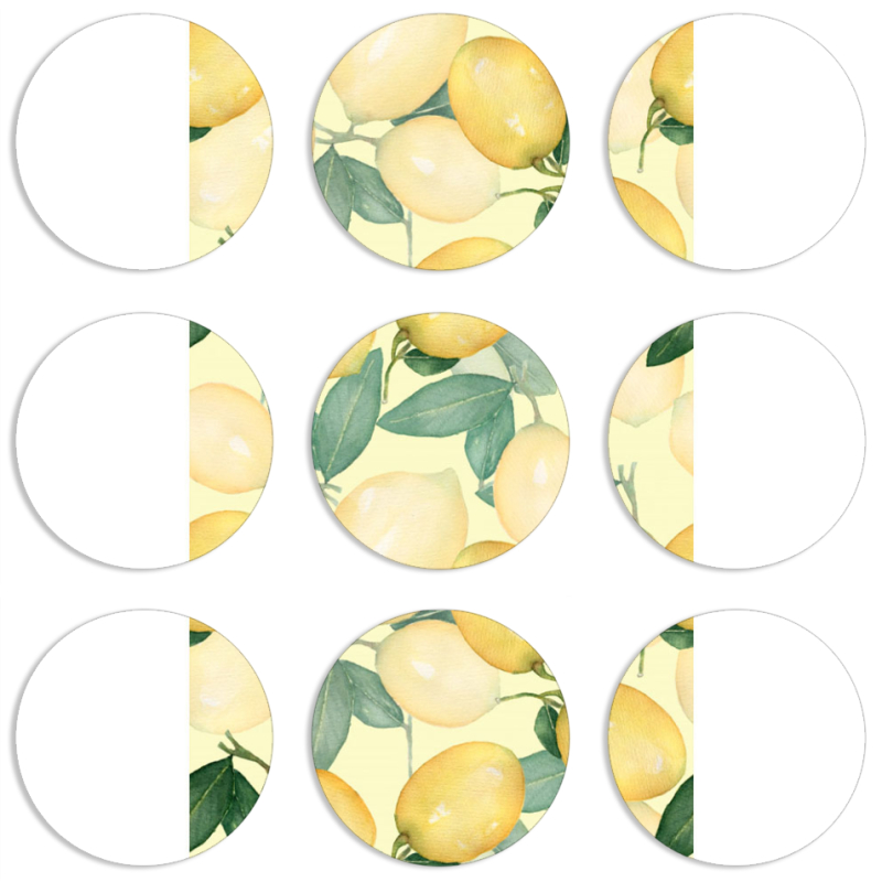 Магнитные фотопазлы круги d55 набор 9 штук 