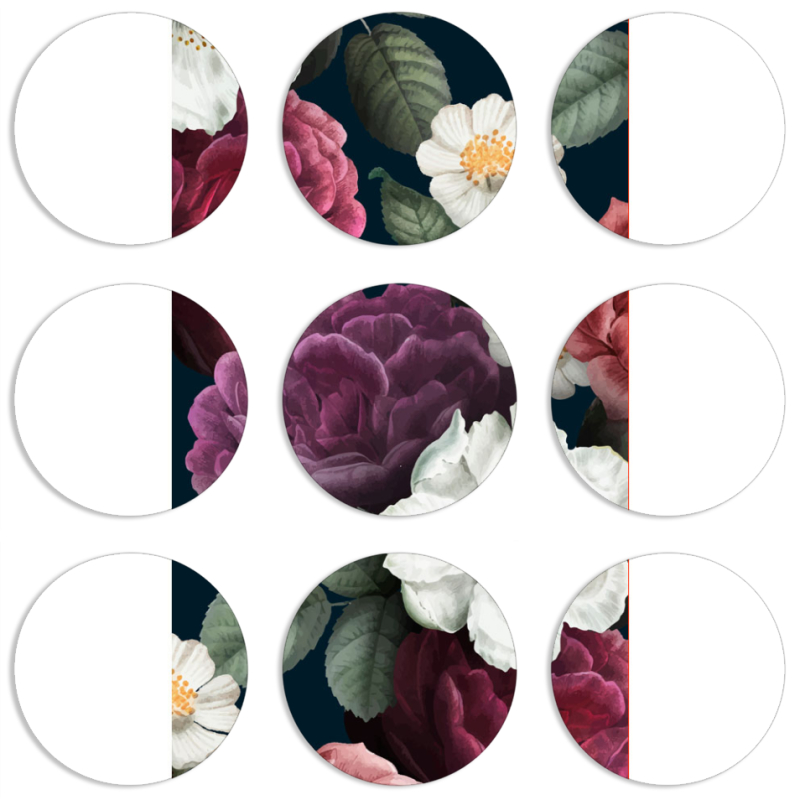 Магнитные фотопазлы круги d55 набор 9 штук 