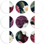 Магнитные фотопазлы круги d55 набор 9 штук 