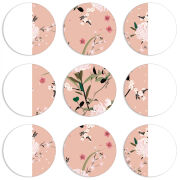 Магнитные фотопазлы круги d55 набор 9 штук 