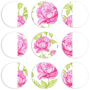 Магнитные фотопазлы круги d55 набор 9 штук 