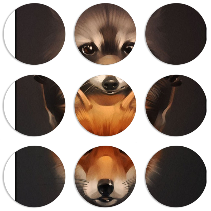 Магнитные фотопазлы круги d55 набор 9 штук 