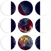 Магнитные фотопазлы круги d55 набор 9 штук 