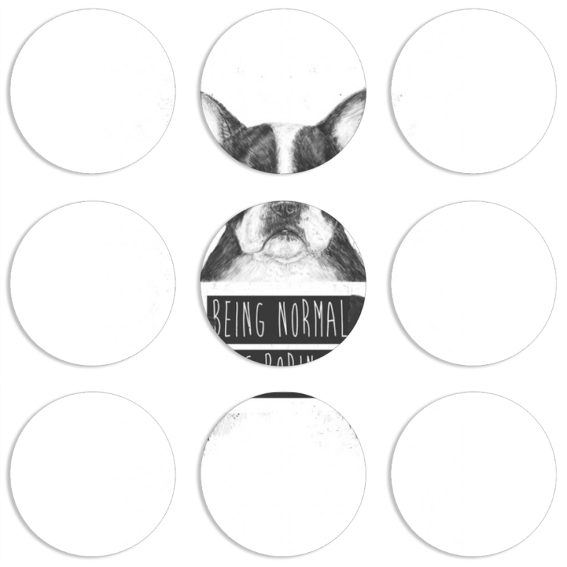 Магнитные фотопазлы круги d55 набор 9 штук 