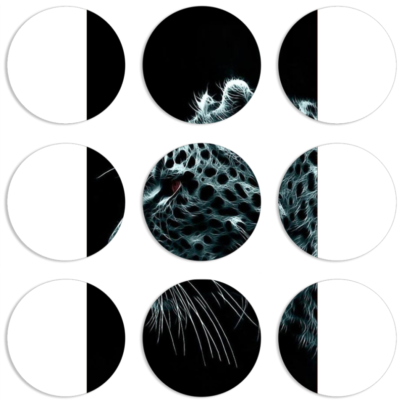 Магнитные фотопазлы круги d55 набор 9 штук Leopard