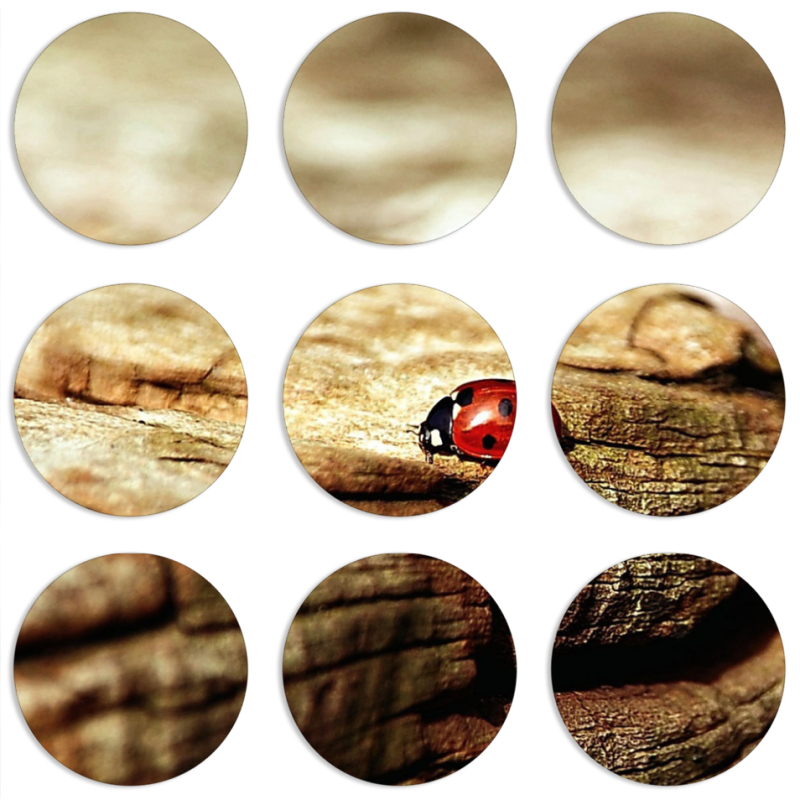 Магнитные фотопазлы круги d55 набор 9 штук 
