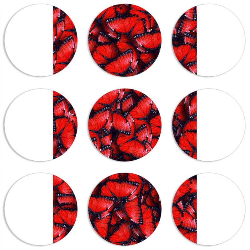 Магнитные фотопазлы круги d55 набор 9 штук 