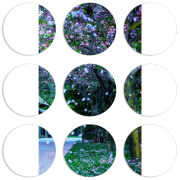 Магнитные фотопазлы круги d55 набор 9 штук 