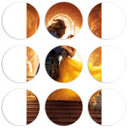 Магнитные фотопазлы круги d55 набор 9 штук 