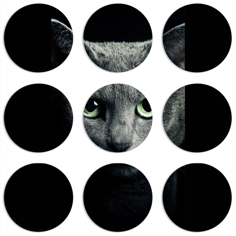 Магнитные фотопазлы круги d55 набор 9 штук 