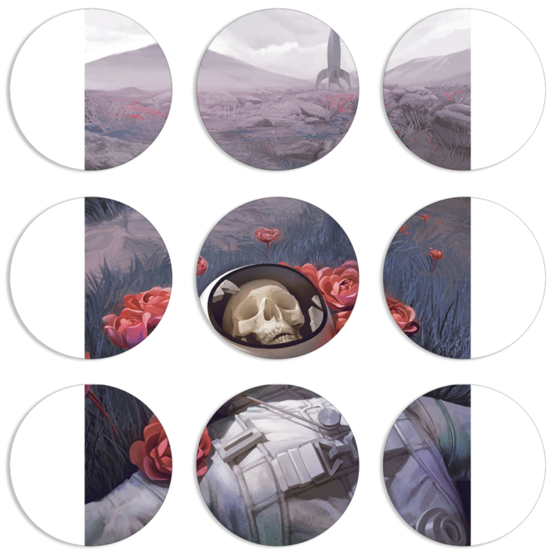 Магнитные фотопазлы круги d55 набор 9 штук 