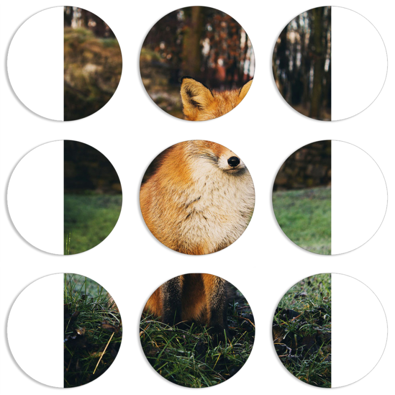 Магнитные фотопазлы круги d55 набор 9 штук 