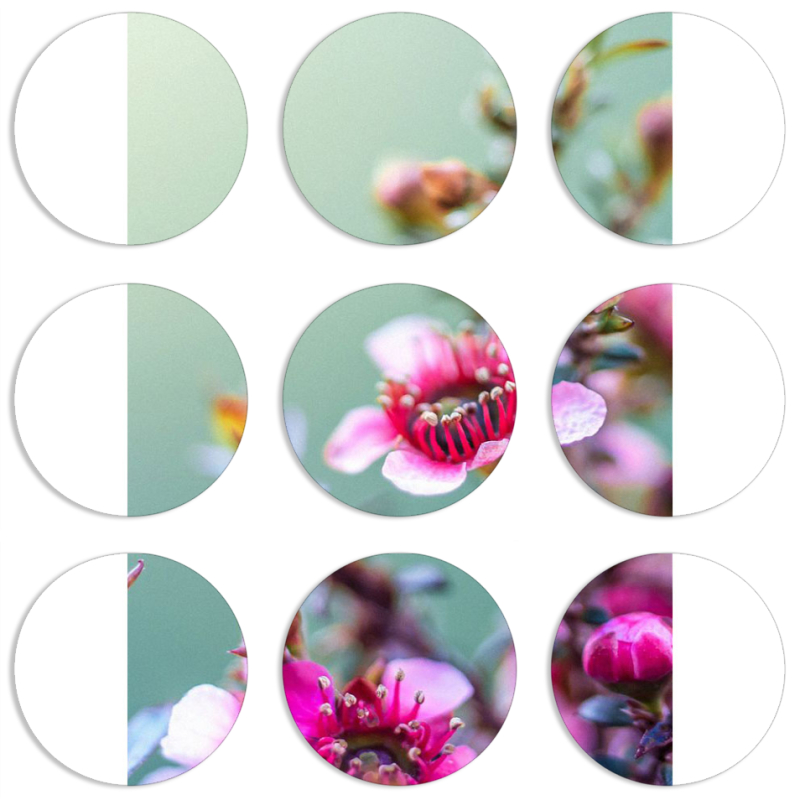 Магнитные фотопазлы круги d55 набор 9 штук 