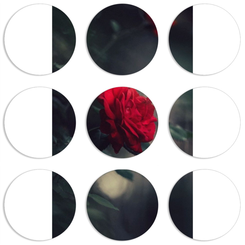 Магнитные фотопазлы круги d55 набор 9 штук 