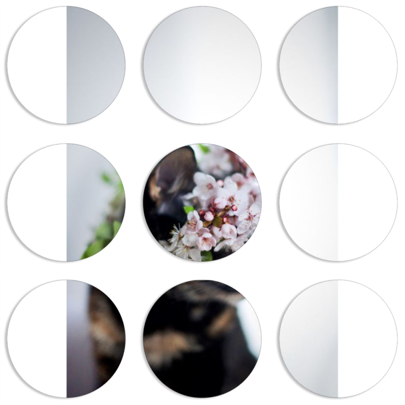 Магнитные фотопазлы круги d55 набор 9 штук 