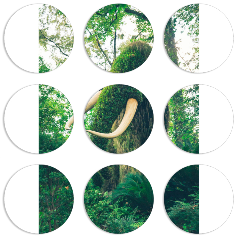 Магнитные фотопазлы круги d55 набор 9 штук 